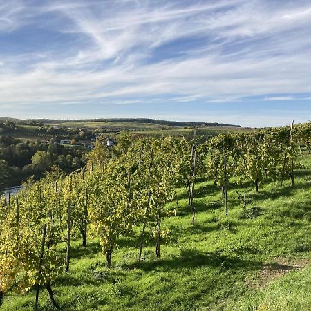Lovely Holiday Home In Veldenz Near Mosel River Luaran gambar